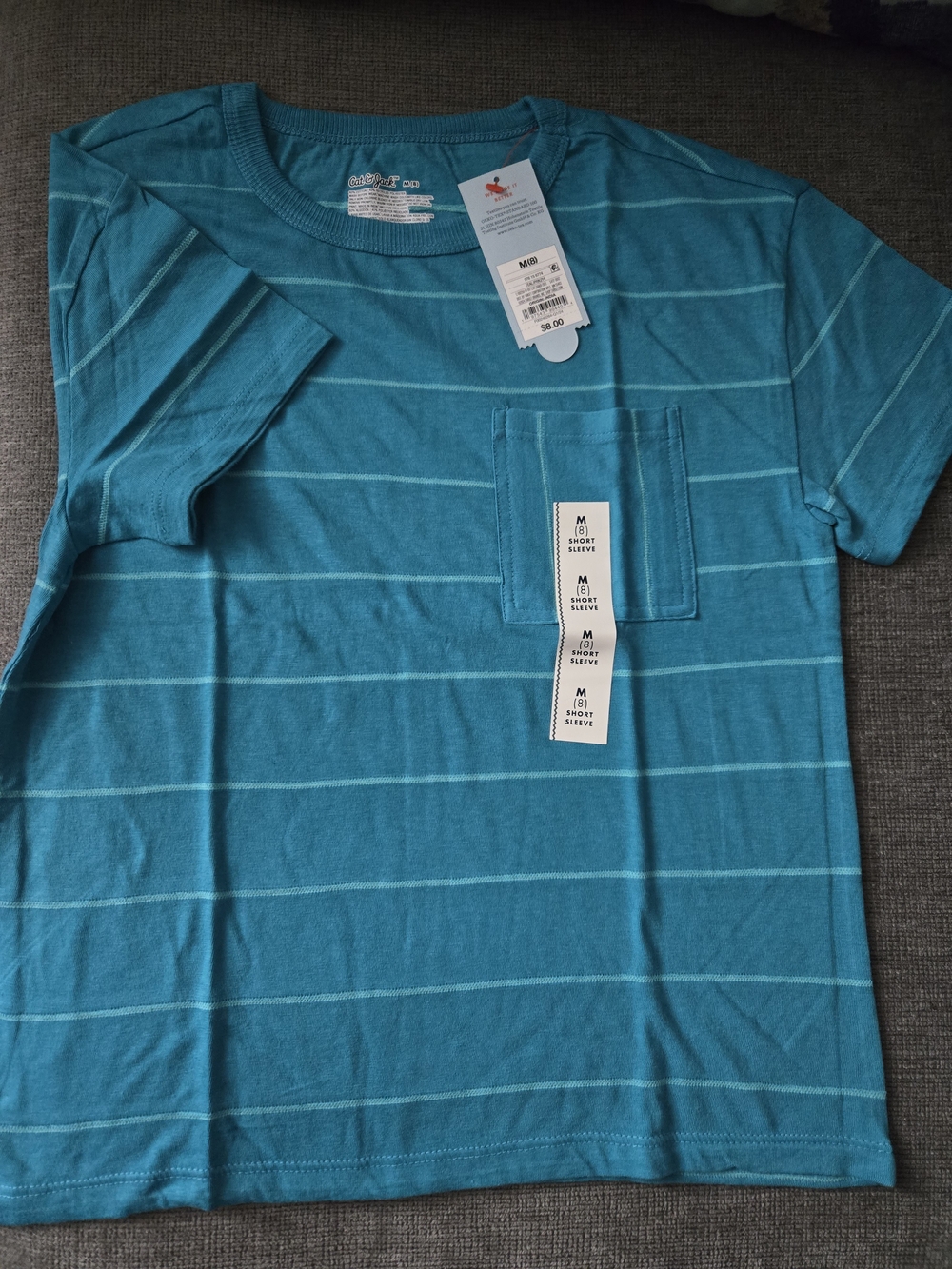 Men's Teal Stripe Pocket T-Shirt